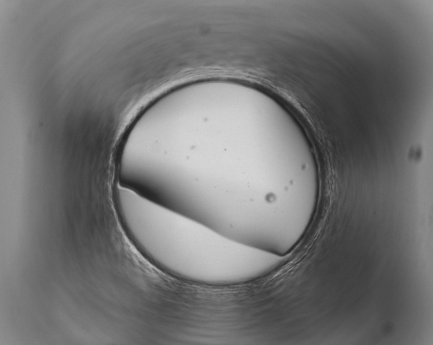 X0000112011508200908171430