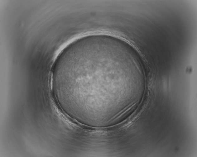 X0000112011510200908171430