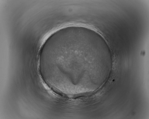 X0000112011511200908171430