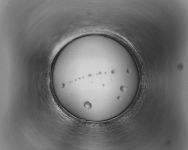 X0000112011512200908171430