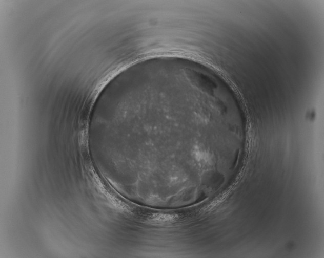 X0000112011513200908171430