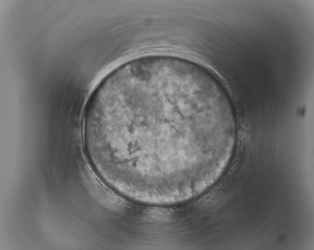 X0000112011514200908171431