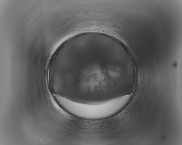 X0000112011515200908171431