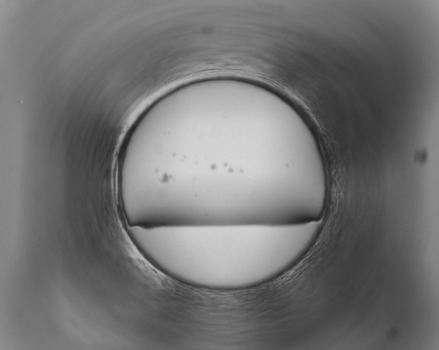 X0000112011516200908171431