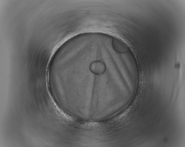 X0000112011517200908171431