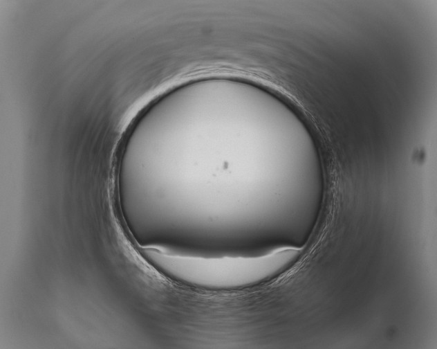 X0000112011518200908171431