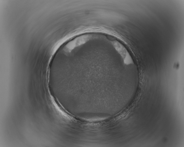 X0000112011519200908171431