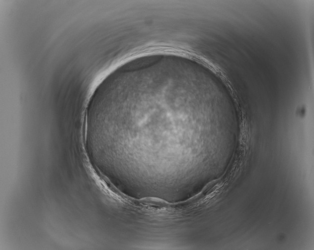 X0000112011520200908171431