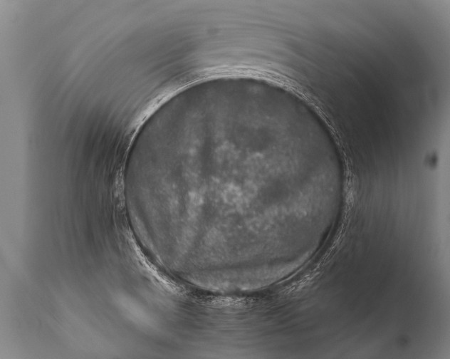 X0000112011521200908171431