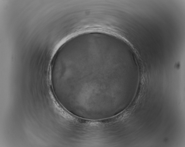 X0000112011522200908171431