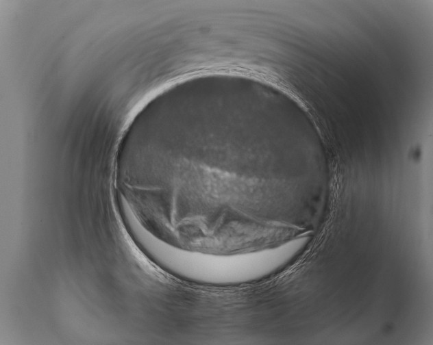 X0000112011523200908171431