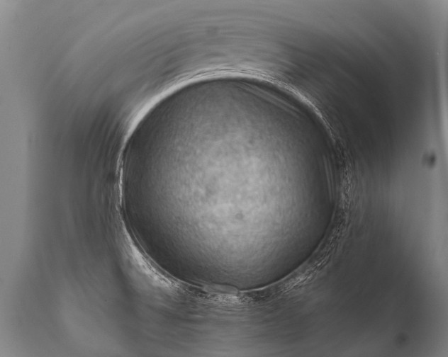 X0000112011524200908171431