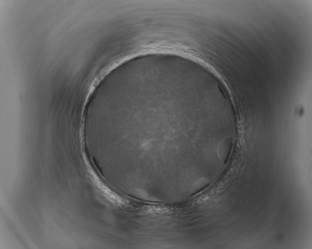 X0000112011525200908171431