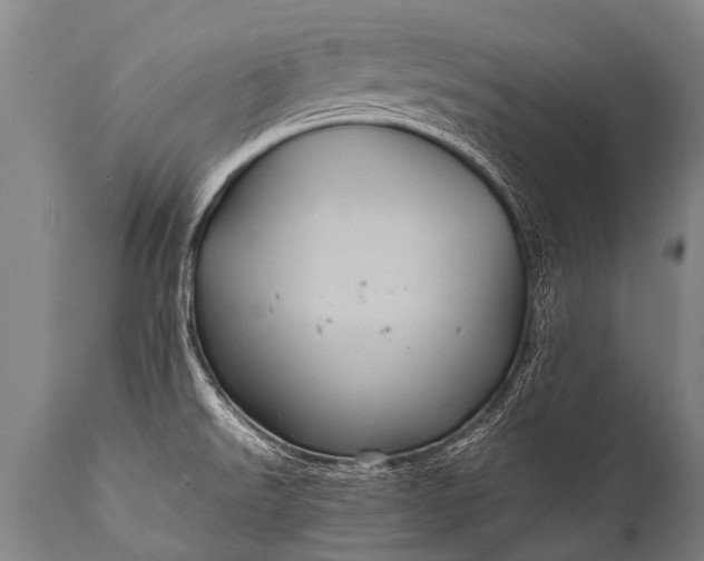 X0000112011526200908171431