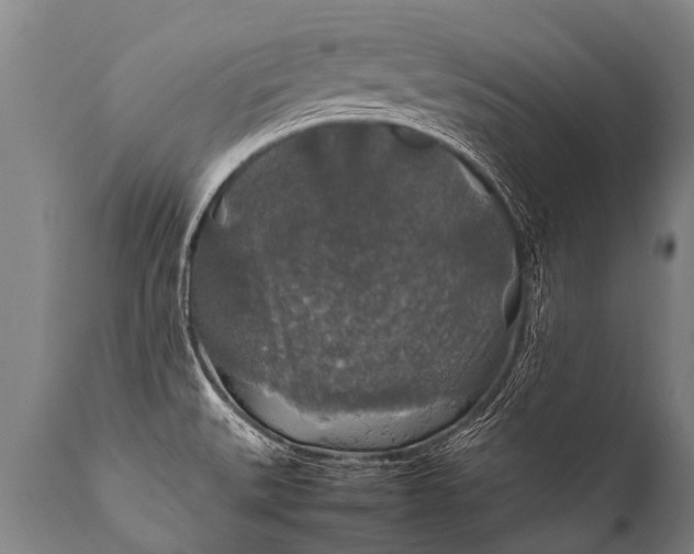 X0000112011527200908171431