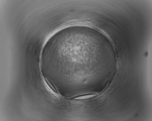 X0000112011528200908171431