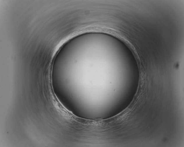 X0000112011530200908171431