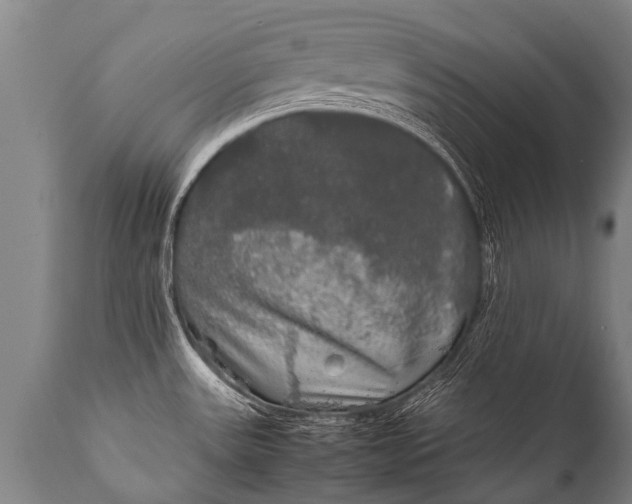 X0000112011531200908171431