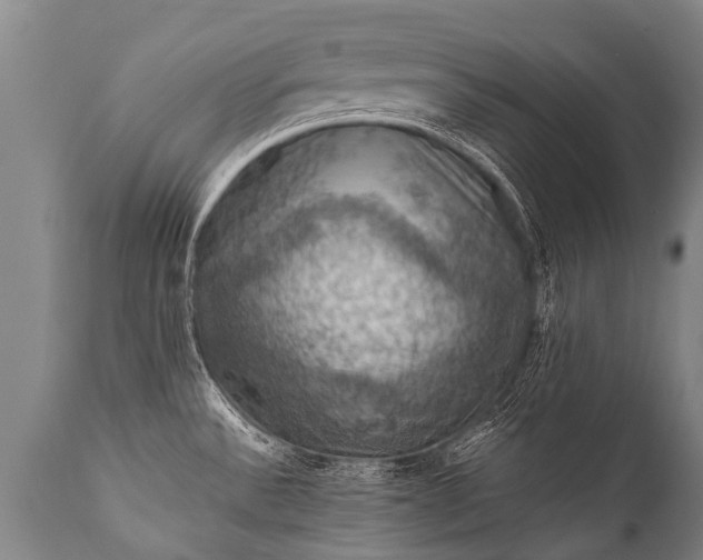 X0000112011532200908171431