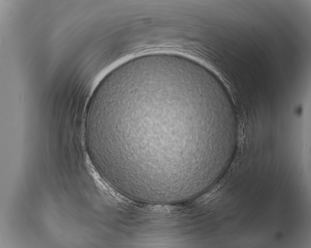 X0000112011534200908171431