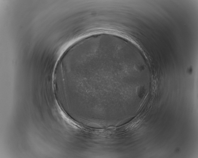 X0000112011535200908171431