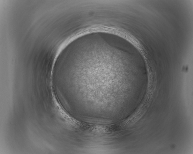 X0000112011536200908171431