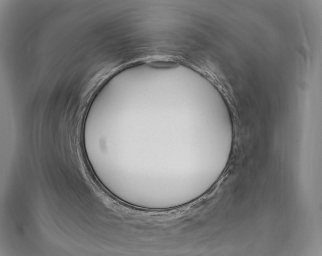 X0000112010001200908241504