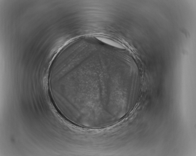 X0000112010002200908241504