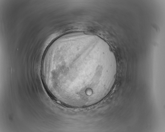 X0000112010003200908241504