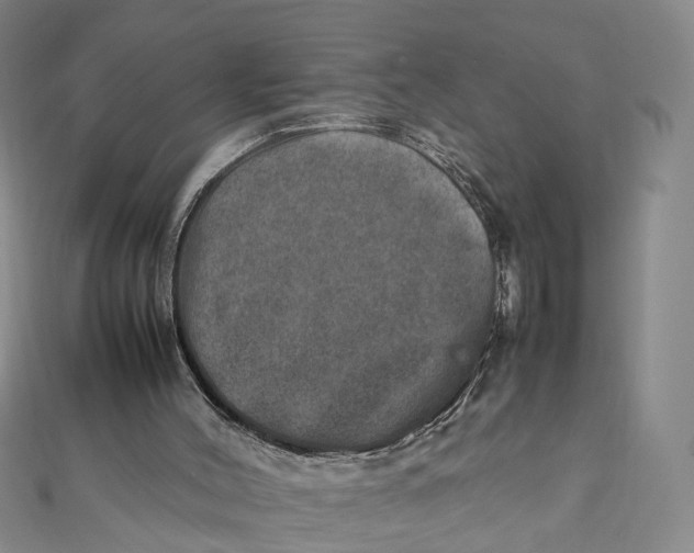 X0000112010004200908241504