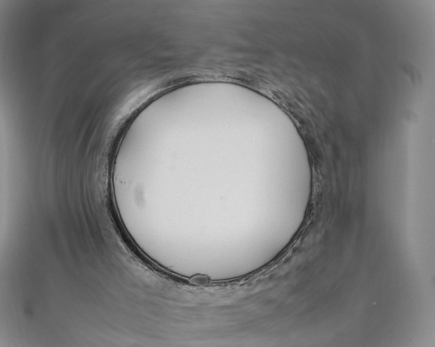 X0000112010005200908241504