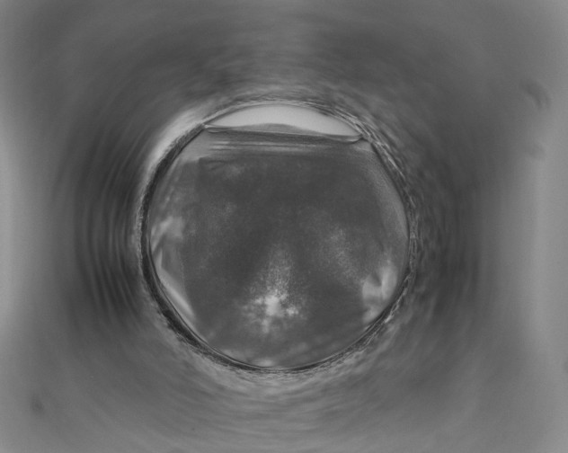 X0000112010006200908241504