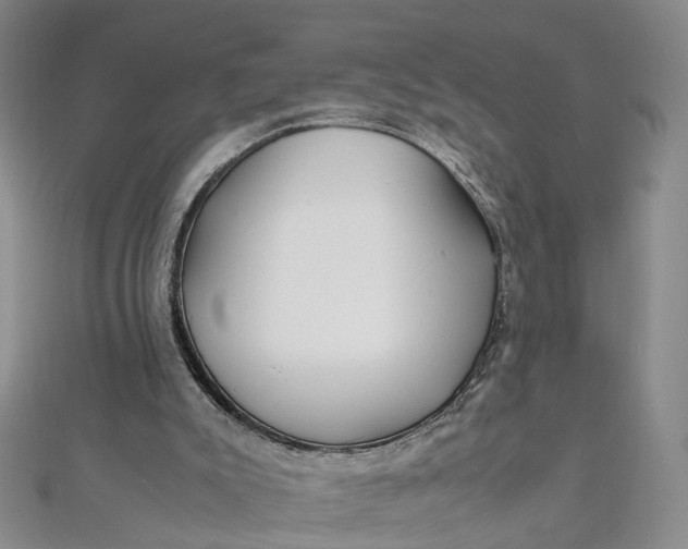 X0000112010007200908241504