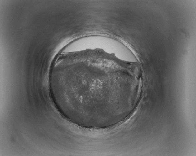X0000112010008200908241504