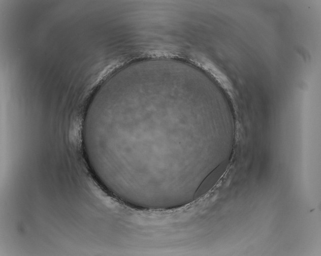 X0000112010009200908241504