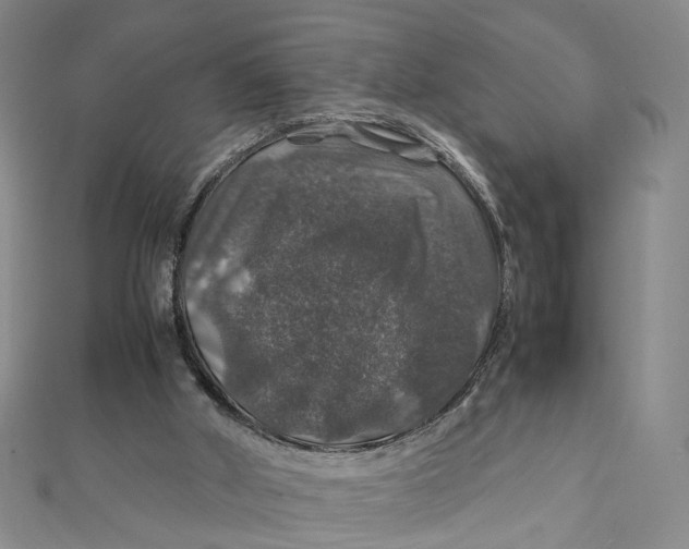 X0000112010010200908241504