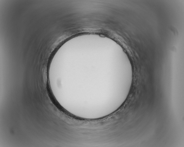 X0000112010011200908241504