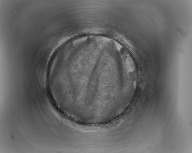 X0000112010012200908241504