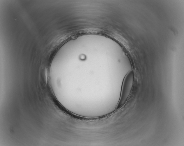X0000112010013200908241504