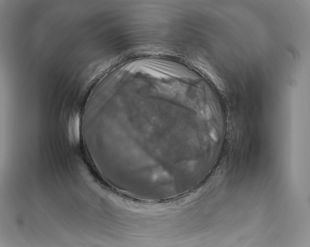 X0000112010014200908241504