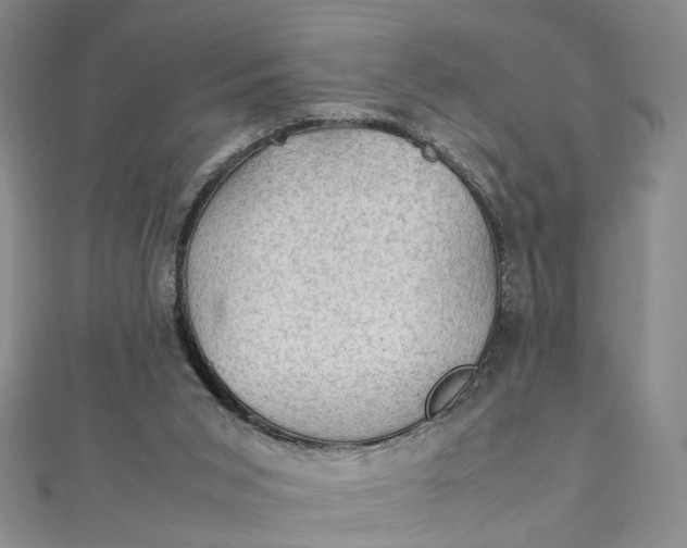 X0000112010015200908241504
