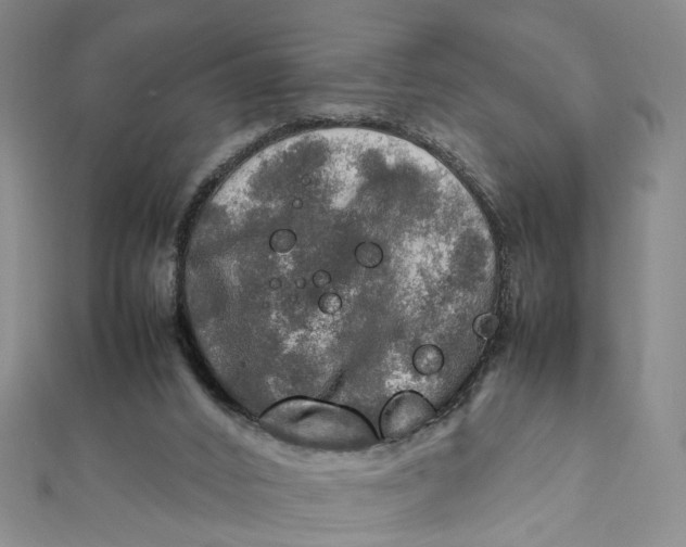 X0000112010016200908241504