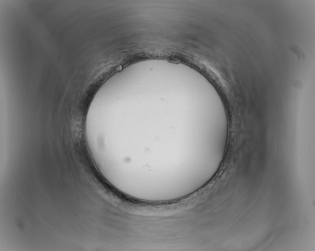 X0000112010017200908241504