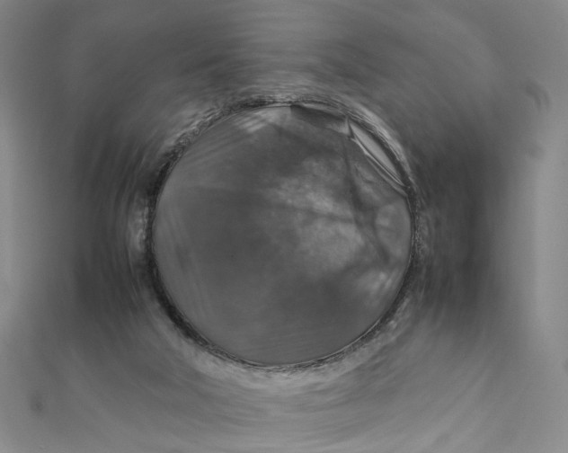 X0000112010018200908241504