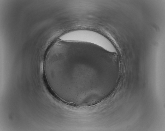 X0000112010019200908241504