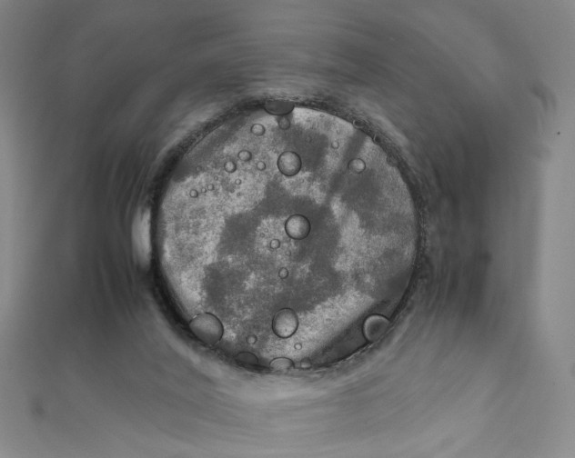 X0000112010020200908241504