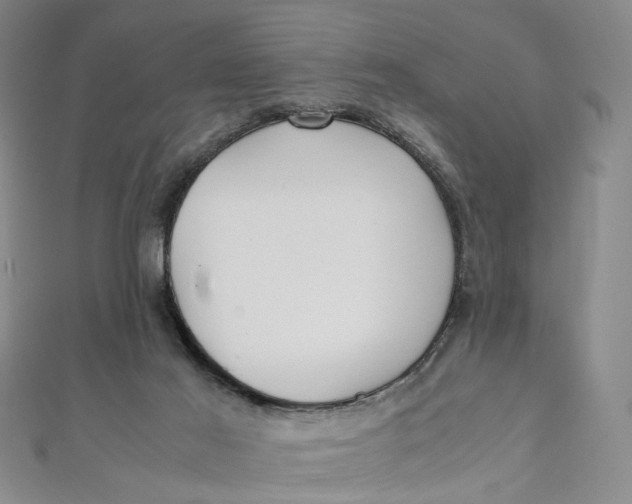 X0000112010021200908241504