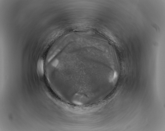 X0000112010022200908241504