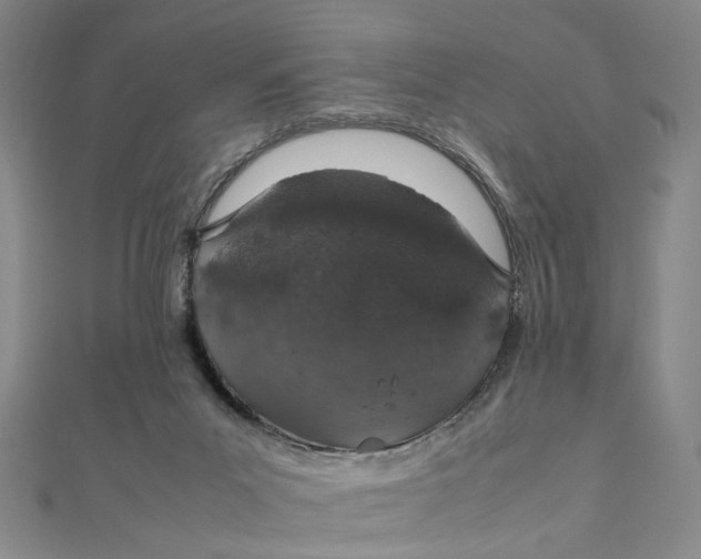X0000112010023200908241504
