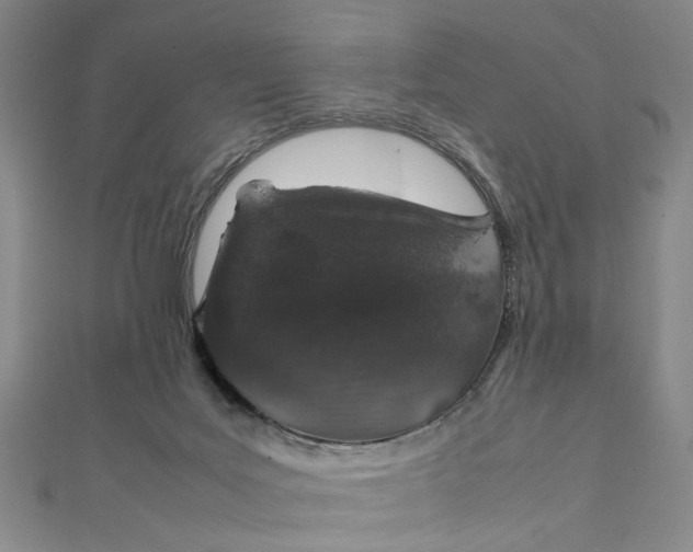 X0000112010027200908241504